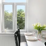 Elite Comfort * 소포트
