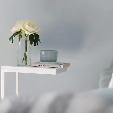 Elite Comfort 소포트